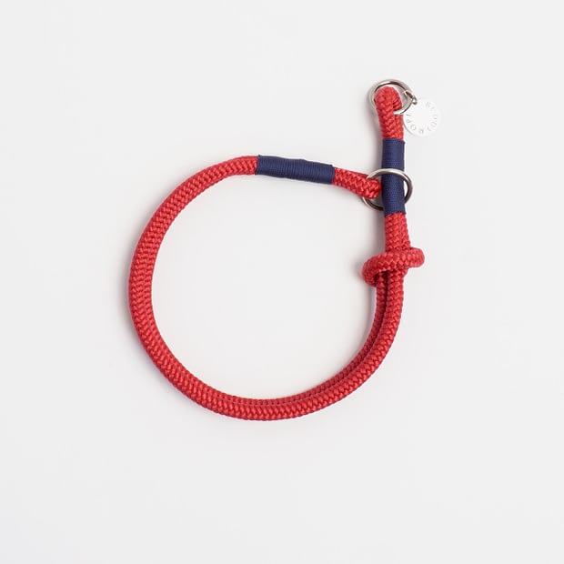 Zugstopphalsband Rot Blau Silber, Hundehalsband aus Tau, Hundezubehör individuell nach Maß handgemacht in Österreich