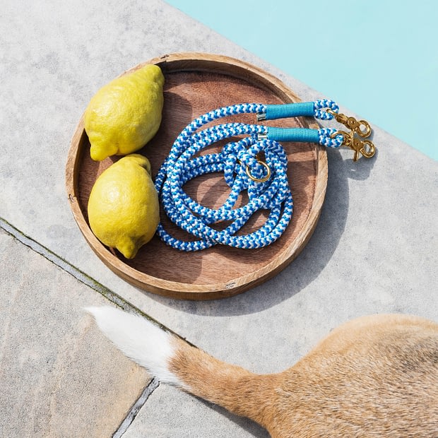 Halsband fix Blau Weiß gestreift Türkis Messing, Hundehalsband aus Tau, Hundezubehör individuell nach Maß handgemacht in Österreich
