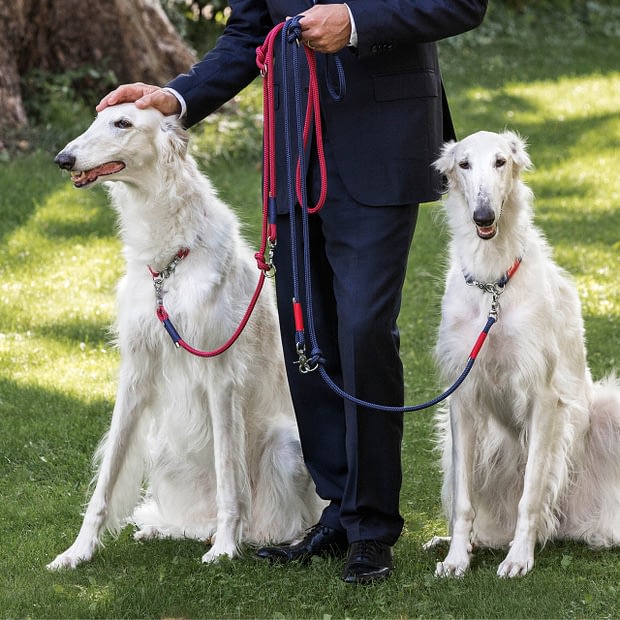 Führleine einfach Rot Blau Silber, Hundeleine aus Tau, Hundezubehör individuell nach Maß handgemacht in Österreich