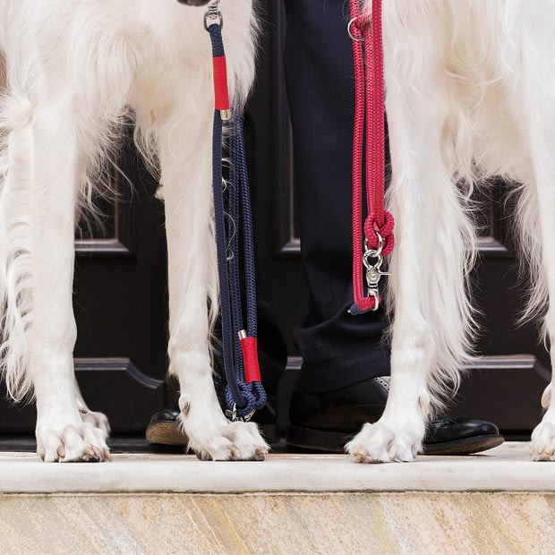 Zugstopphalsband Rot Blau Silber, Hundehalsband aus Tau, Hundezubehör individuell nach Maß handgemacht in Österreich