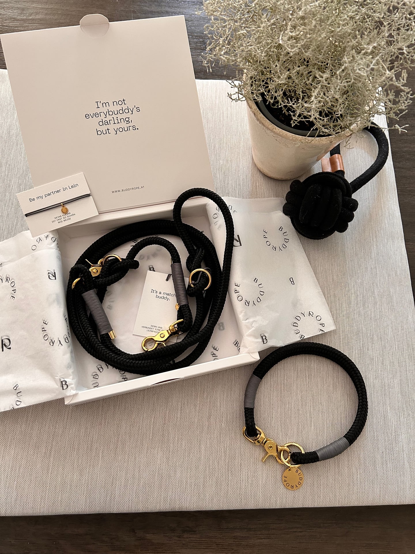 Halsband fix, Hundehalsband aus Tau, Hundezubehör individuell nach Maß handgemacht in Österreich